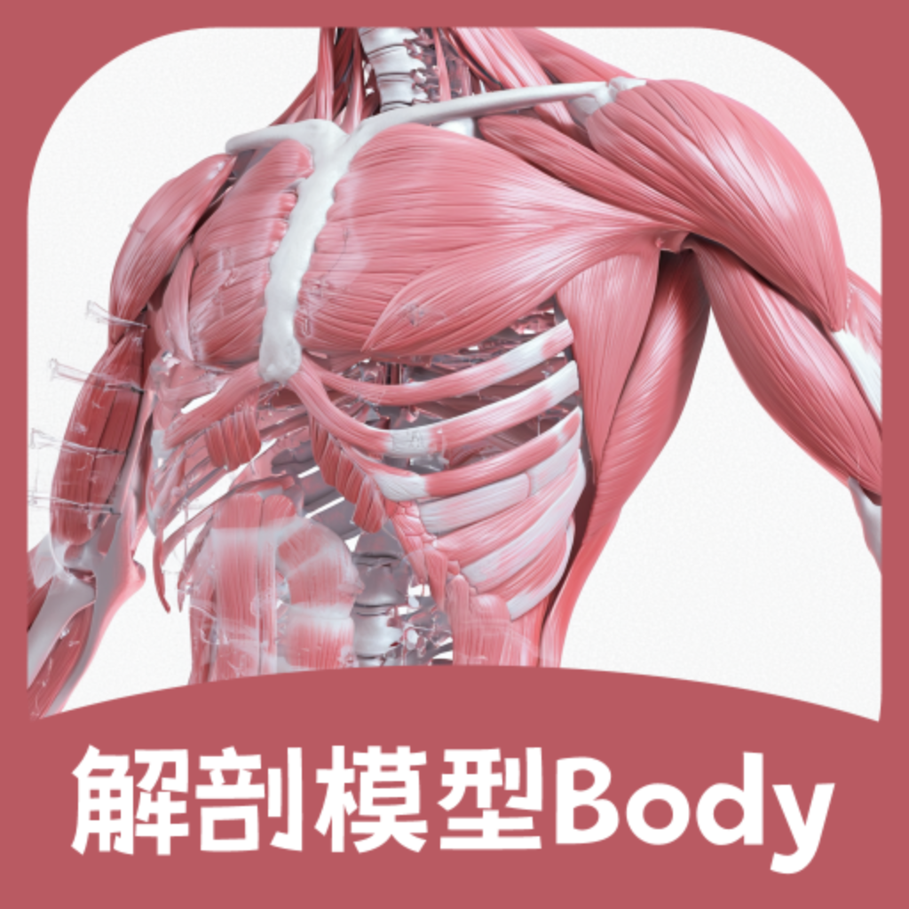 解剖模型Body软件：360度全景展示，沉浸式学习人体构造
