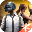 和平精英虚幻直装版下载 - 安卓动作射击游戏