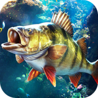 下载《欢乐钓鱼大师》vivo版，体验3D钓鱼乐趣