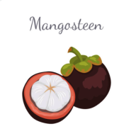 山竹社区2024 - Android精品软件：参与全球玩家讨论，分享游戏心得