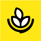 燕麦烘焙APP：便捷美食创作助手，烘焙模式多样化