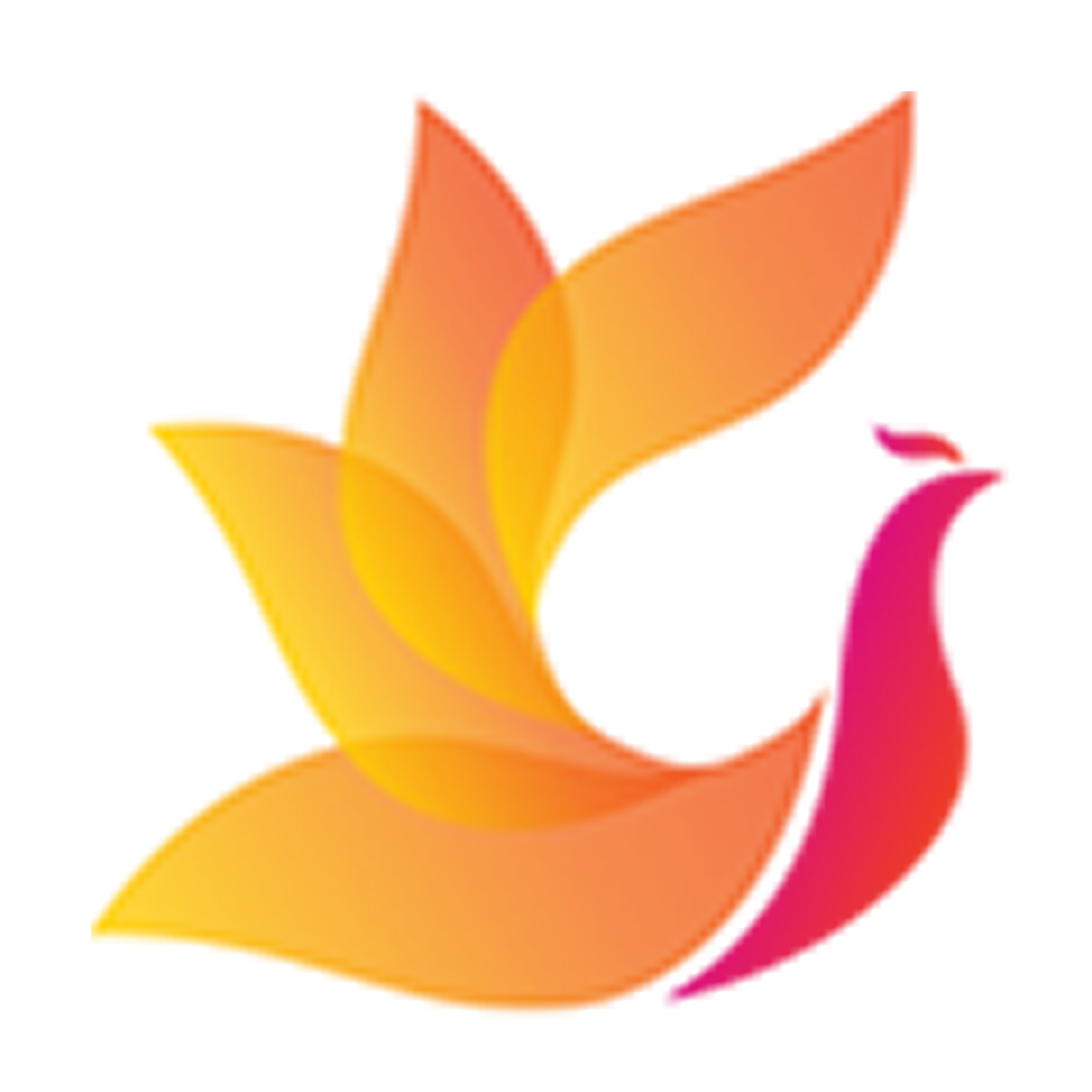 影视工厂2025最新版：高清影视播放与个性化设置