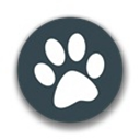 兽语翻译：Android悬浮窗快捷操作，有趣又实用