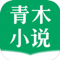 青木小说：快速搜索与多样化榜单的安卓小说漫画应用