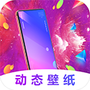 主题商店 - Android 拍摄美化