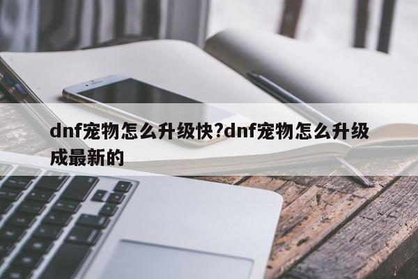 dnf宠物怎么升级快?dnf宠物怎么升级成最新的