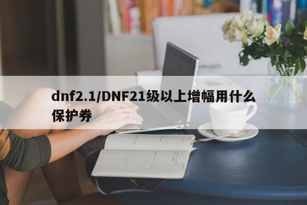 dnf2.1/DNF21级以上增幅用什么保护券