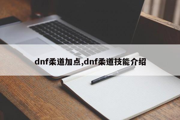 dnf柔道加点,dnf柔道技能介绍