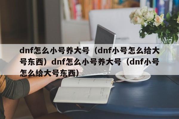 dnf怎么小号养大号（dnf小号怎么给大号东西）dnf怎么小号养大号（dnf小号怎么给大号东西）