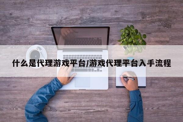 什么是代理游戏平台/游戏代理平台入手流程