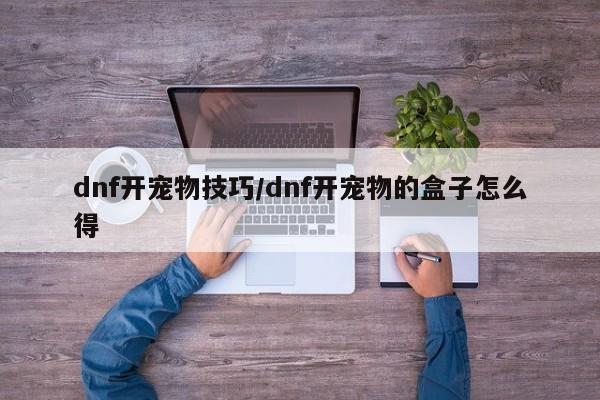 dnf开宠物技巧/dnf开宠物的盒子怎么得