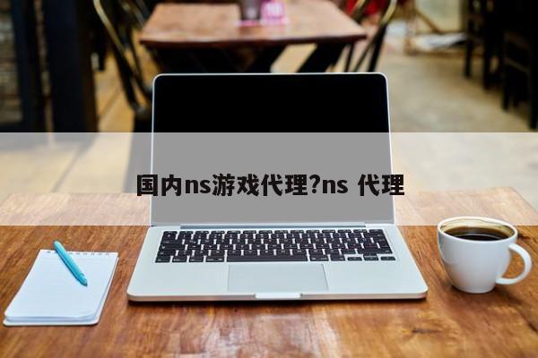国内ns游戏代理?ns 代理