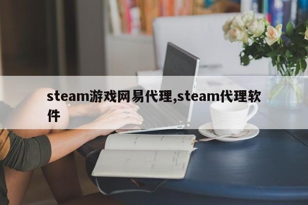 steam游戏网易代理,steam代理软件