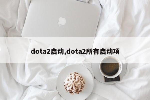 dota2启动,dota2所有启动项
