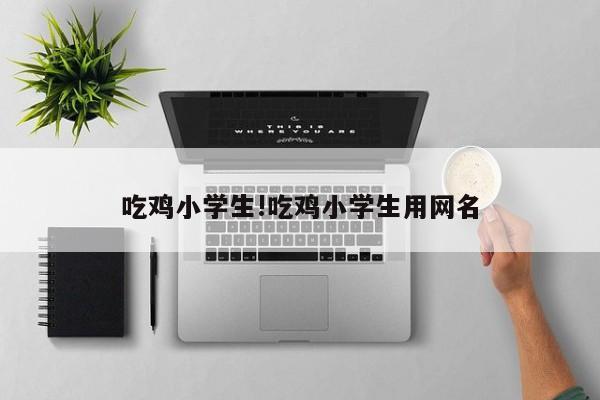 吃鸡小学生!吃鸡小学生用网名