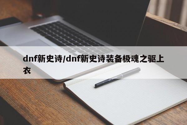 dnf新史诗/dnf新史诗装备极魂之驱上衣