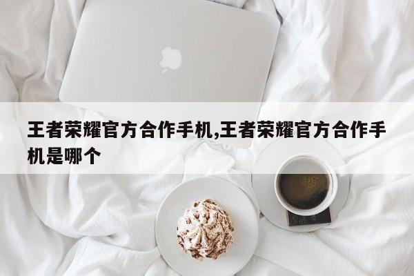王者荣耀官方合作手机,王者荣耀官方合作手机是哪个